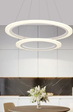 Double Circle Ceiling Light